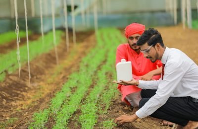 Young indian agronomist and farmer showing bottle at greenhouse